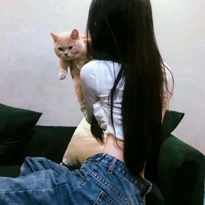秃鹰72小时