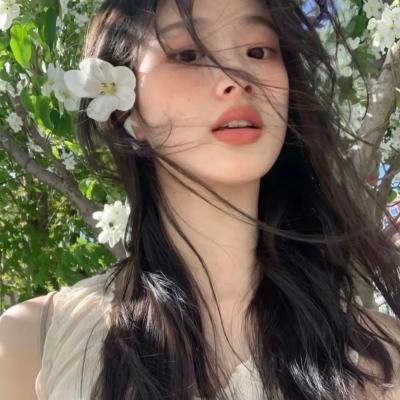 黑之契约者2:流星的双子